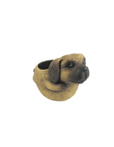 MACETERO PERRO COMICO