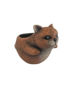 MACETERO GATO COMICO