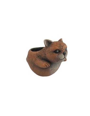 MACETERO GATO COMICO