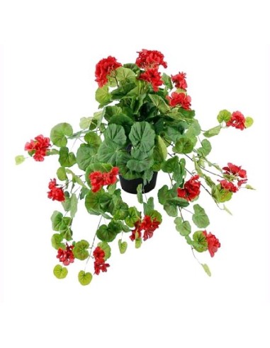 GERANIOX171 ROJO c/MACET.10X10 (B216-1M)