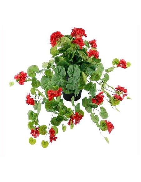 GERANIOX171 ROJO c/MACET.10X10 (B216-1M)