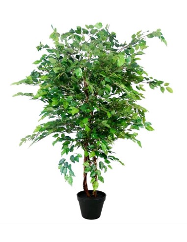 ARBOL FICUS 160cm (G537-1)
