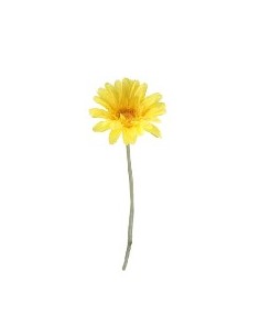 GERBERA AMARILLO (2290-02)