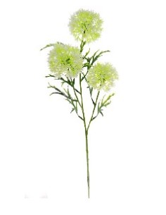 VIBURNUM X 3 (4308-01)