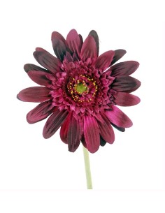 GERBERAX1 M.P.LILA 54cm(8cm) (F