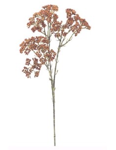 VARA ACHILEA 72 CMS -& NARANJ