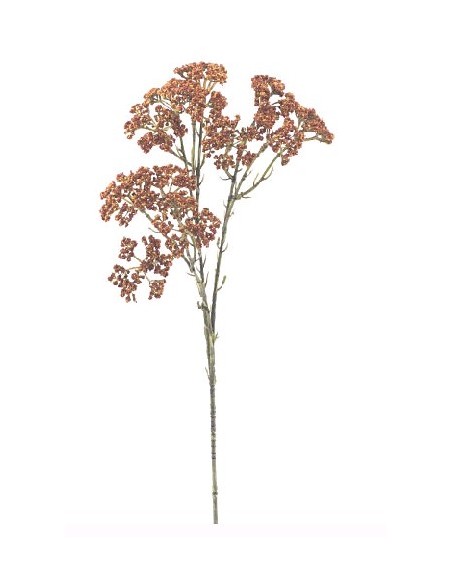 VARA ACHILEA 72 CMS -& NARANJ