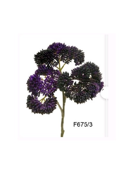 RAMA SEDUM MORADO 45cm(11cm) (F675/3)