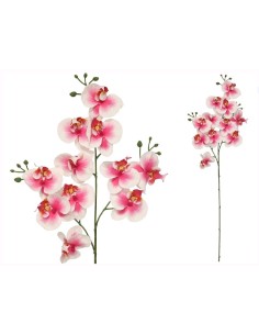 VARA ORQUIDEA X 11 R/TOUCH-82