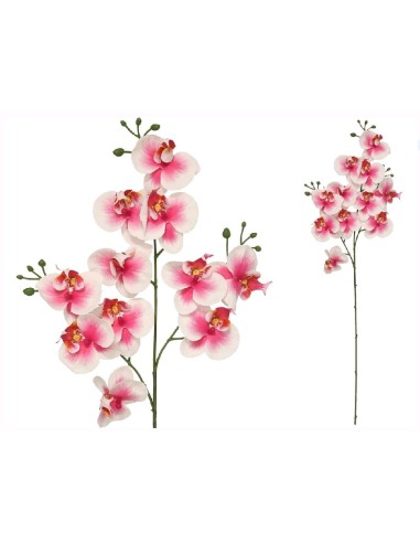 VARA ORQUIDEA X 11 R/TOUCH-82