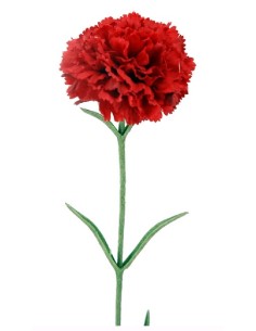 CLAVEL X1 M.TERC.ROJO 54cm(8) (