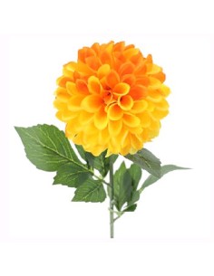 DAHLIA AMARILLO (2651-02)