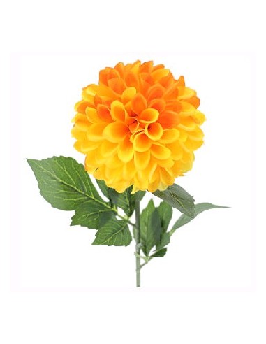 DAHLIA AMARILLO (2651-02)