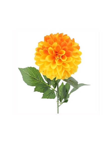 DAHLIA AMARILLO (2651-02)