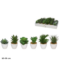 MACETA PLAST SUCULENTAS 12-19 CM (S)