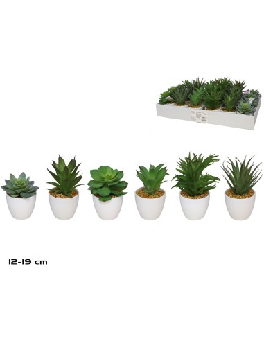 MACETA PLAST SUCULENTAS 12-19 CM (S)