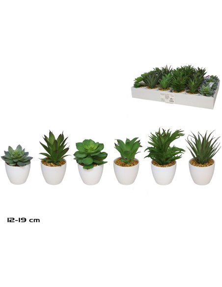 MACETA PLAST SUCULENTAS 12-19 CM (S)