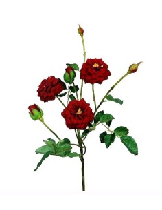 ROSITAS X5 ROJA 50cm(16cm) (C4