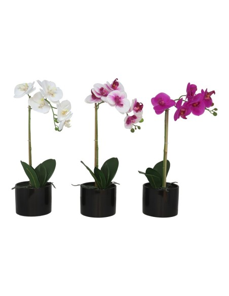 MACETA (N) ORQUIDEAS X 6  R/T-48 CM (S)