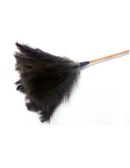 PLUMERO AVESTRUZ S/M VARILLA MADERA