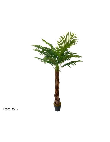PLANTA PALMERA T/COCO X 18 - 180 CM