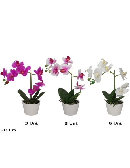 MACETA ORQUIDEAS X 7 R/TOUCH-30 CM (S)