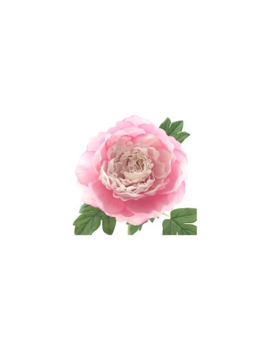 PEONIA TACTO NATURAL ROSA (62