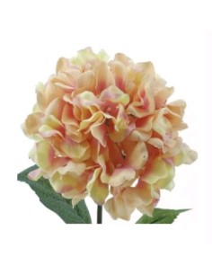 HYDRANGEA ALT 68CMS 19 CMS N