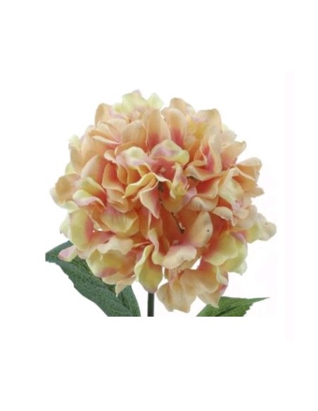 HYDRANGEA ALT 68CMS 19 CMS N