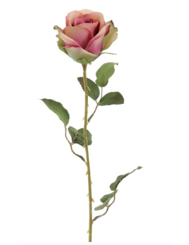 CAPULLO  ALICE (6900-07)