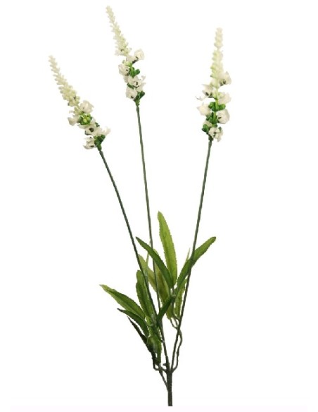 V.LAVANDAS X3 BLANCA 62cm(28) (F711-1)