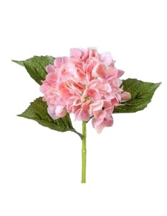 HORTENSIA NATURAL X 1 33CM SAL