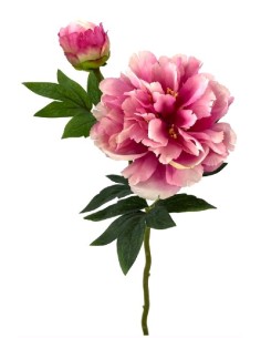 PEONIA X2 POLIEST.FUCSHIA 48cm(