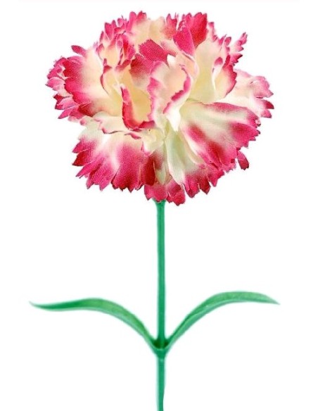 CLAVELX1 M. TERC JASPE 60 CM