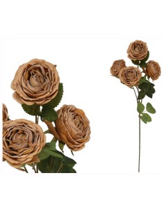 VARA ROSA CABBAGE DRIED X4 -8