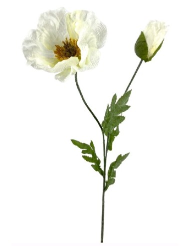 AMAPOLA X2 SATEN CREAM 73cm(