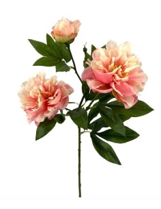 PEONIA X3 POLIEST.ROSA 78cm(13c