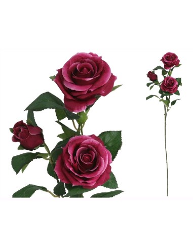 VARA ROSAS X 3-68 CM (FUCSIA)