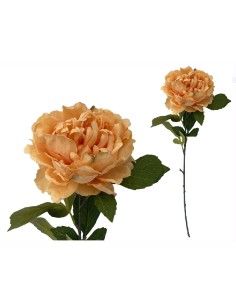 VARA PEONIA (A) -80CM (TE)