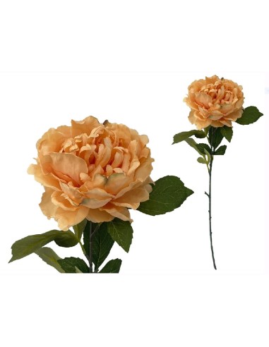 VARA PEONIA (A) -80CM (TE)