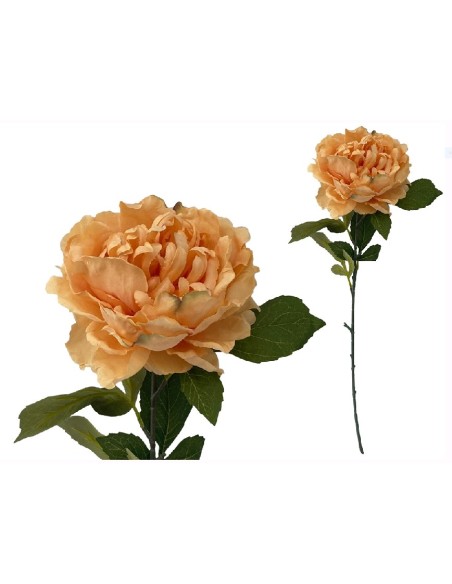 VARA PEONIA (A) -80CM (TE)