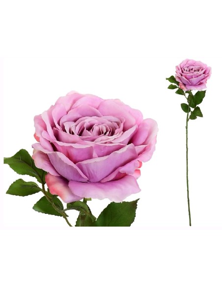 VARA ROSA CAROLINA (A)-67 CM