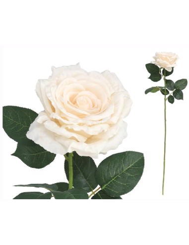 VARA ROSA QUEEN-78 CM (MARFIL