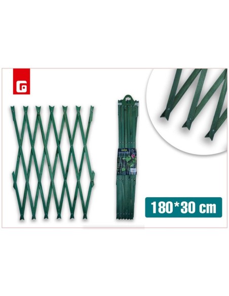 CELOSIA MADERA VERDE 180x30cm