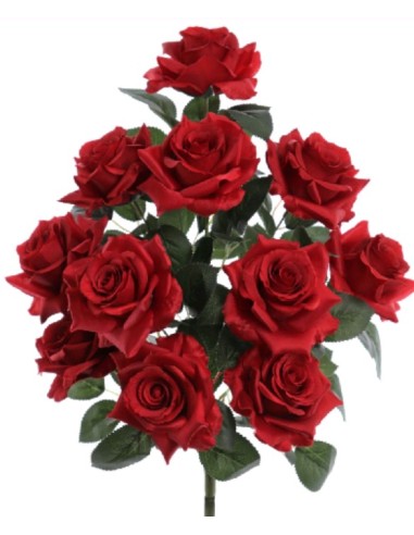 PALMA ROSAS (5995-08)