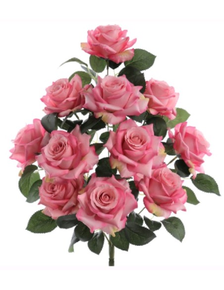 PALMA ROSAS (5995-12)