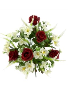 R.U/C. ROSA/ASTROM. X14 ROJO 4