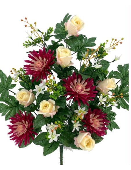 R.U/C. ROSAS/DALIAS X18 FUCSH/C