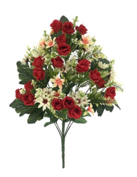 PALMA SILVESTRE ROSITAS