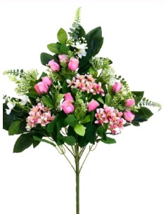 CONJUNTO AGAPANTHUS -CAP X 1 FUCSIA